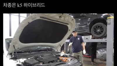 어메이징 현기차 엔진 내구성 ㄷㄷ 