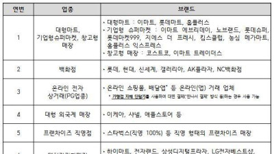 민생회복 소비쿠폰’ 사용 제한 업종 정리