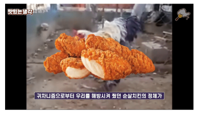 순살치킨 브라질닭에대한 오해 