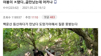 진짜 ㅈ된 와중에도 할건 해야하는 야붕이