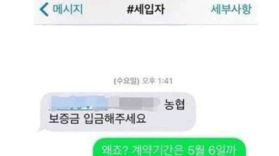 다시보는 미친 세입자