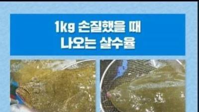 무장공비도 한수 접고 가는 광어회 ㄷㄷ