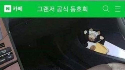 자동차 동호회 대참사 후기