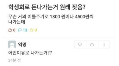 학생몰래 계좌에서 돈을 빼가는 인하대 학생회