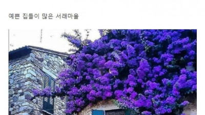   				지방사람들은 모르는 숨어있는 서울의 명소들			