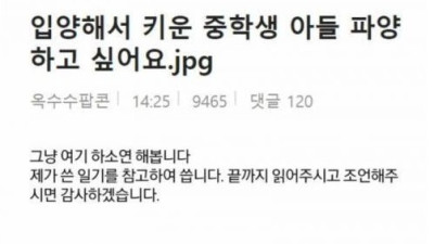 입양해서 키운 중학생 아들 파양하고 싶어요