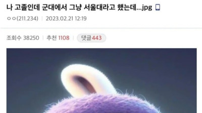 군대에서 서울대라고 사기치고 다니던 고졸의 최후