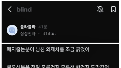 남친이 너무하다는 삼전 여직원