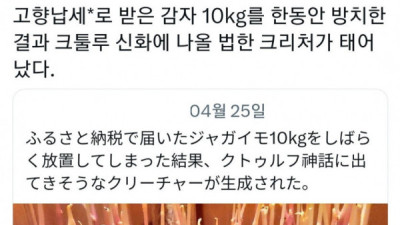   				감자 10kg 한동안 방치했더니			