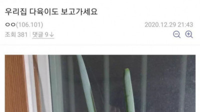   				싱글벙글 식물갤			