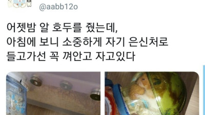 어젯밤 햄스터한테 알호두를 줬는데