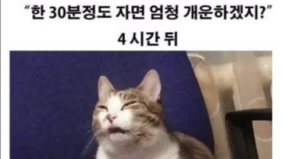 일요일에 낮잠 알람이 필요한 이유