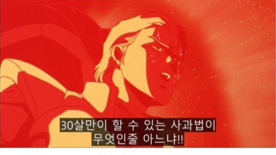   				나이 30살만이 할수있는 사과법			