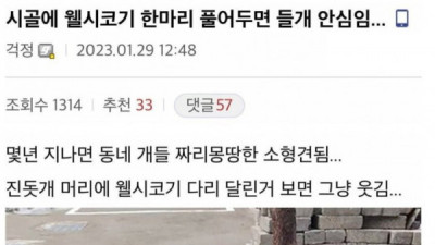   				웰시코기를 시골에 풀어두면 생기는일			