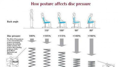   				자세별 척추 압력			