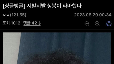 머리 한후 고소각 잡는 디시인