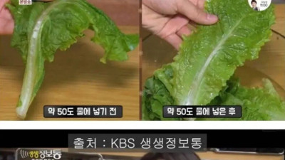 살아오면서 티비에서 얻은 가장 유요한 정보