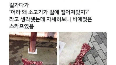 어라 길바닥에 왜 소고기가 떨어져있지