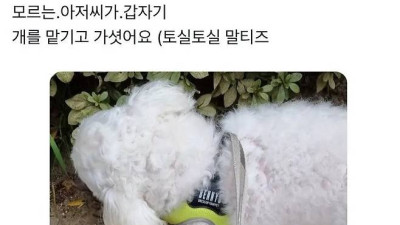 어떤 아저씨가 길에서 개 맡기고감