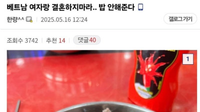 베트남 여자랑 결혼하지마라 밥안해준다